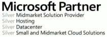 logo microsoft partner 2x